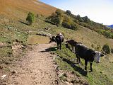 Monti Lariani 10-2013 - 047